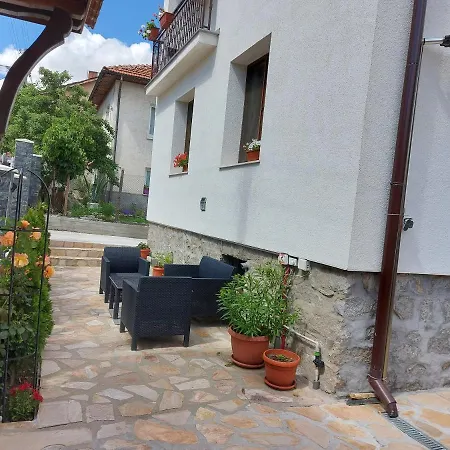 Гостьовий будинок Sharkova House 2*