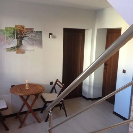 Sharkova House 2*