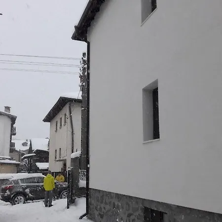 Гостевой дом Sharkova House