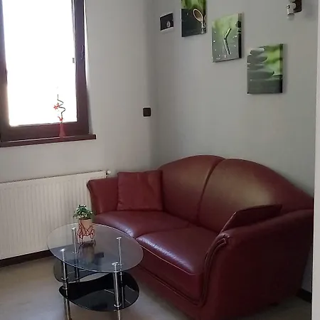 Sharkova House בנסקו