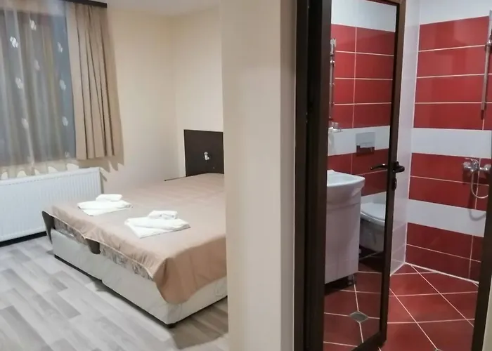 Sharkova House 招待所 2*