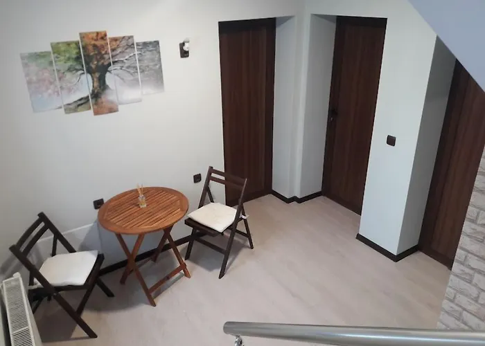 招待所 Sharkova House