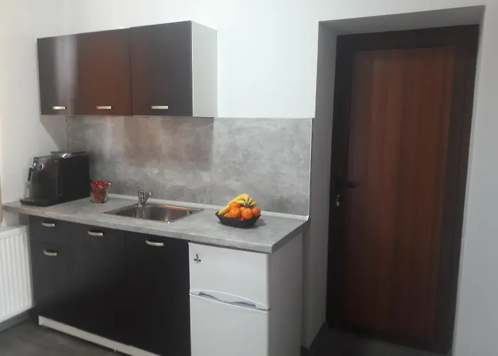 Гостьовий будинок Sharkova House Бансько