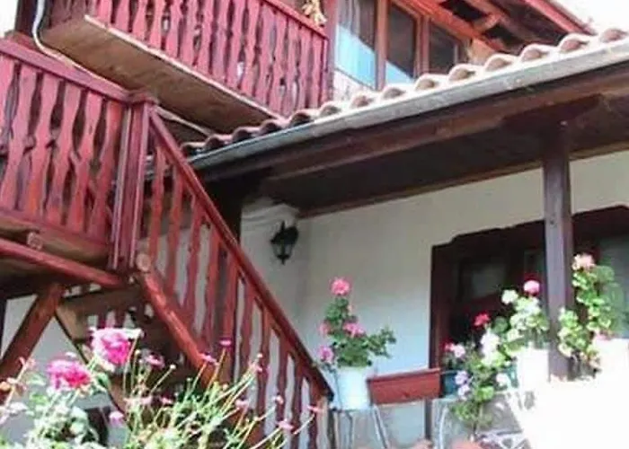 Гостьовий будинок Sharkova House